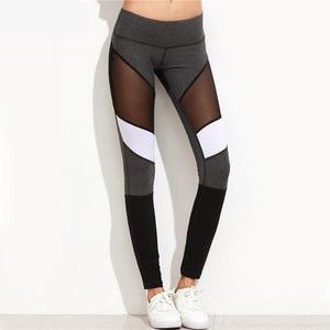 Mesh Insert Legging