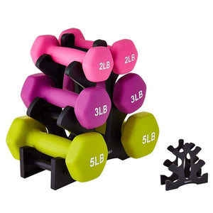 Gym Dumbbell Rack